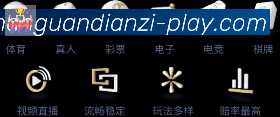 大满贯电子荣誉